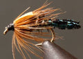 Zug Bug