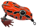Pacman Frog
