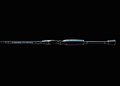 7'3 Black Reign MH Baitcaster