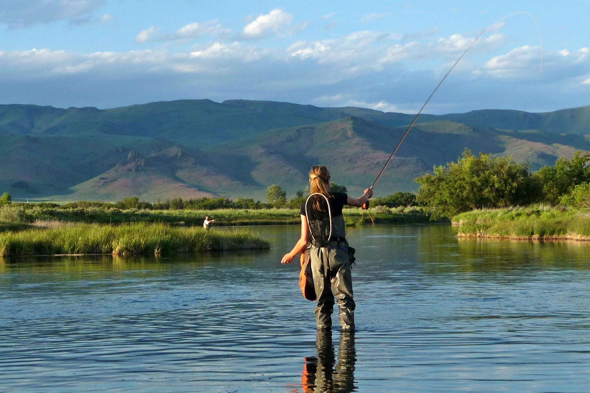 Sparkle Dun Pale Morning Dun PMD Yellow Body Mayfly 6 Flies Hook size 16