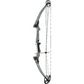 Genesis Bow  Ash RH