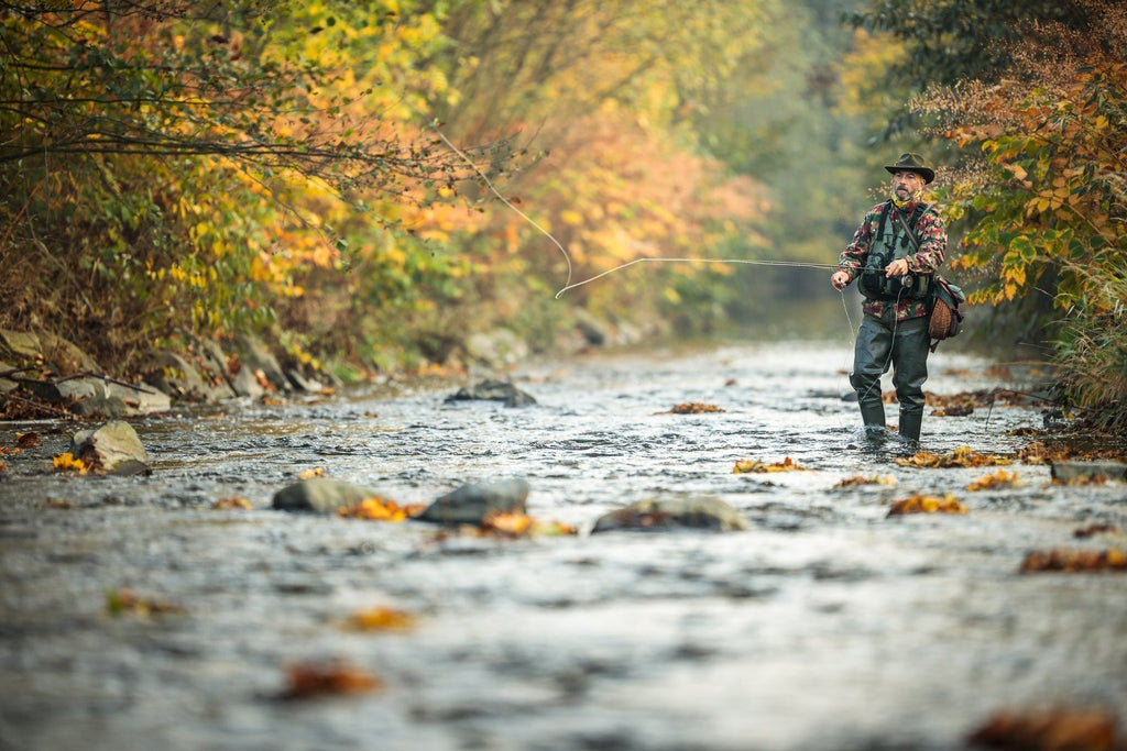 3 Pack LaFontaine Amber Deep Sparkle Caddis Pupa - Hook Size 14