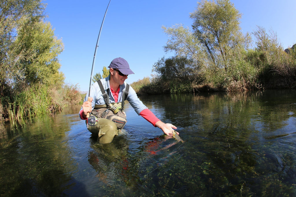 Light Hendrickson Classic Dry Fly - 12 Flies Size 16