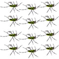Barbless Pat's Barred Rubber Legs Tungsten Bead Jigged Black/Chartreuse Euro Nymph  - Set of 12 Flies Hook Size 6