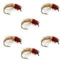Bead Head Tan Brown Caddis Larva Nymph 6 Flies Hook Size 12