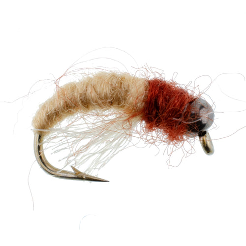 3 Pack Bead Head Tan Brown Caddis Larva Nymph Hook Size 12
