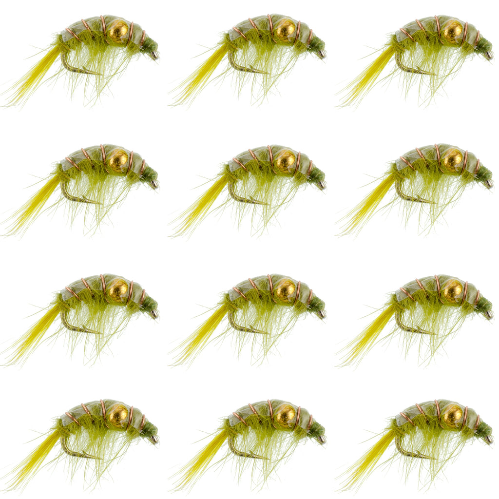 Olive Beaded Shrimp Scud Pattern - 1 Dozen Size 12 - Tailwater Lake Fly Fishing Nymph