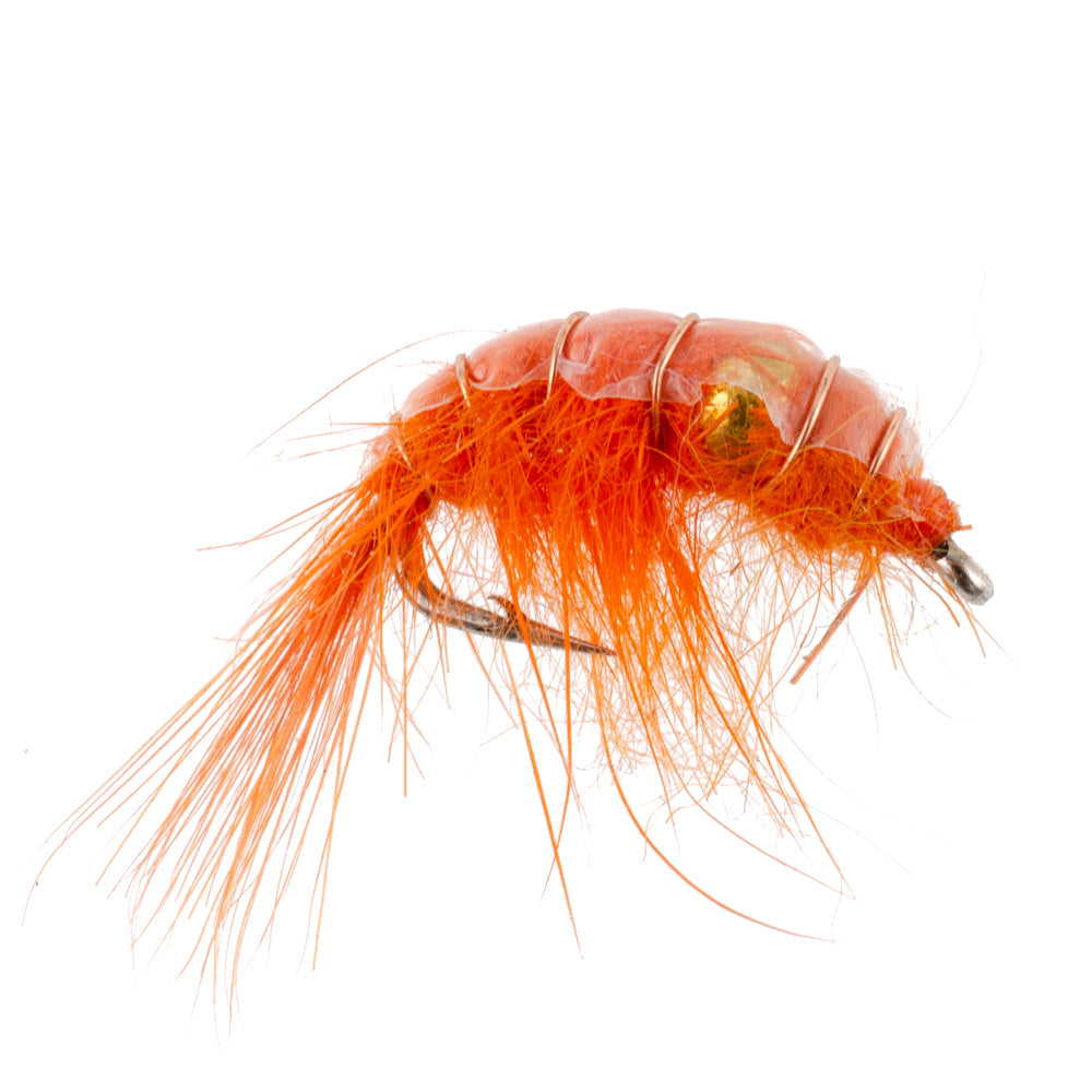 Orange Beaded Shrimp Scud - 6 Flies - Size 16 - Tailwater Lake Fly Fishing Nymph