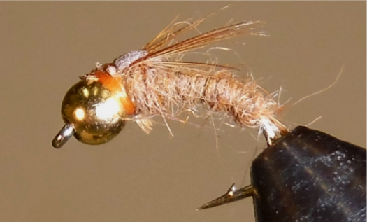 Bead Head Emerger™