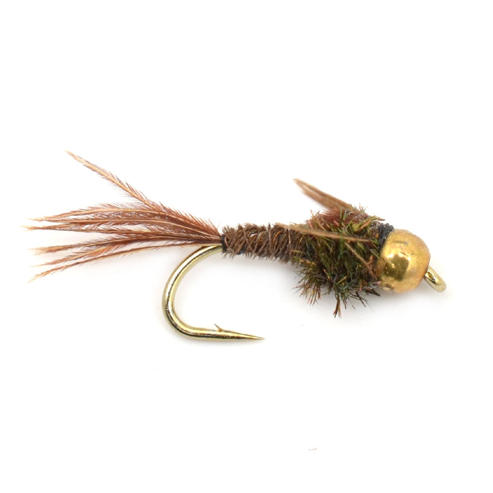 Basics Collection - Bead Head Nymph Assortment - 10 Wet Flies - 5 Patterns - Hook Sizes 12, 14, 16