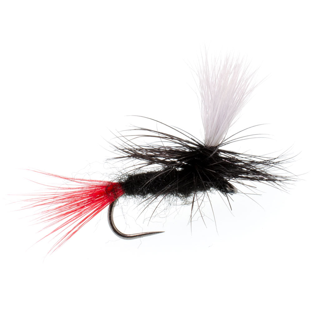 Barbless Parachute Black Gnat Red Tail Dry Fly - 12 Flies - Size 12