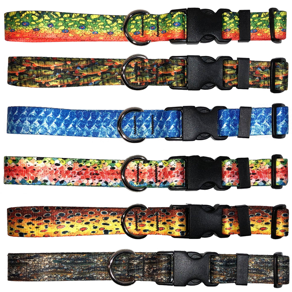 Brook Trout2 Dog Collar
