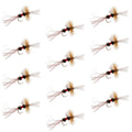 Royal Wulff Cripple Mayfly - Caddis Emerger - 1 Dozen Flies Hook Size 16