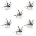 Dark Hendrickson Classic Dry Fly - 6 Flies Size 16