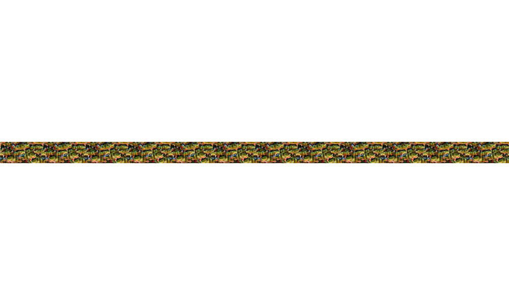 Peacock Bass Dog Collar
