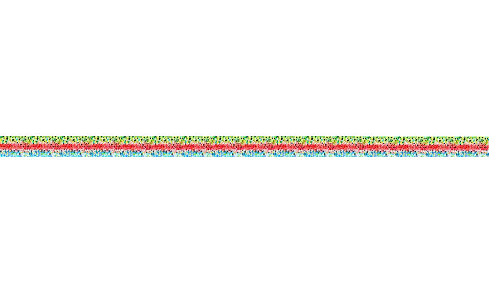Rainbow#3 Trout Dog Leash