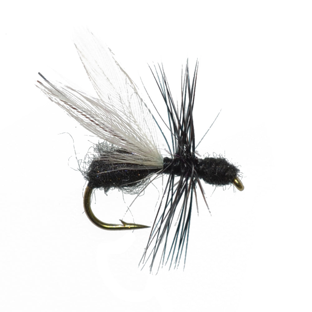 Basics Collection - Terrestrials Dry Fly Assortment - 10 Dry Fishing Flies - Hopper, Ant and Beetle Fishing Fly Patterns - Hook Sizes 10, 12 and 14