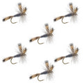 Gray Wulff Classic Trout Dry Fly - 6 Flies Hook Size 14