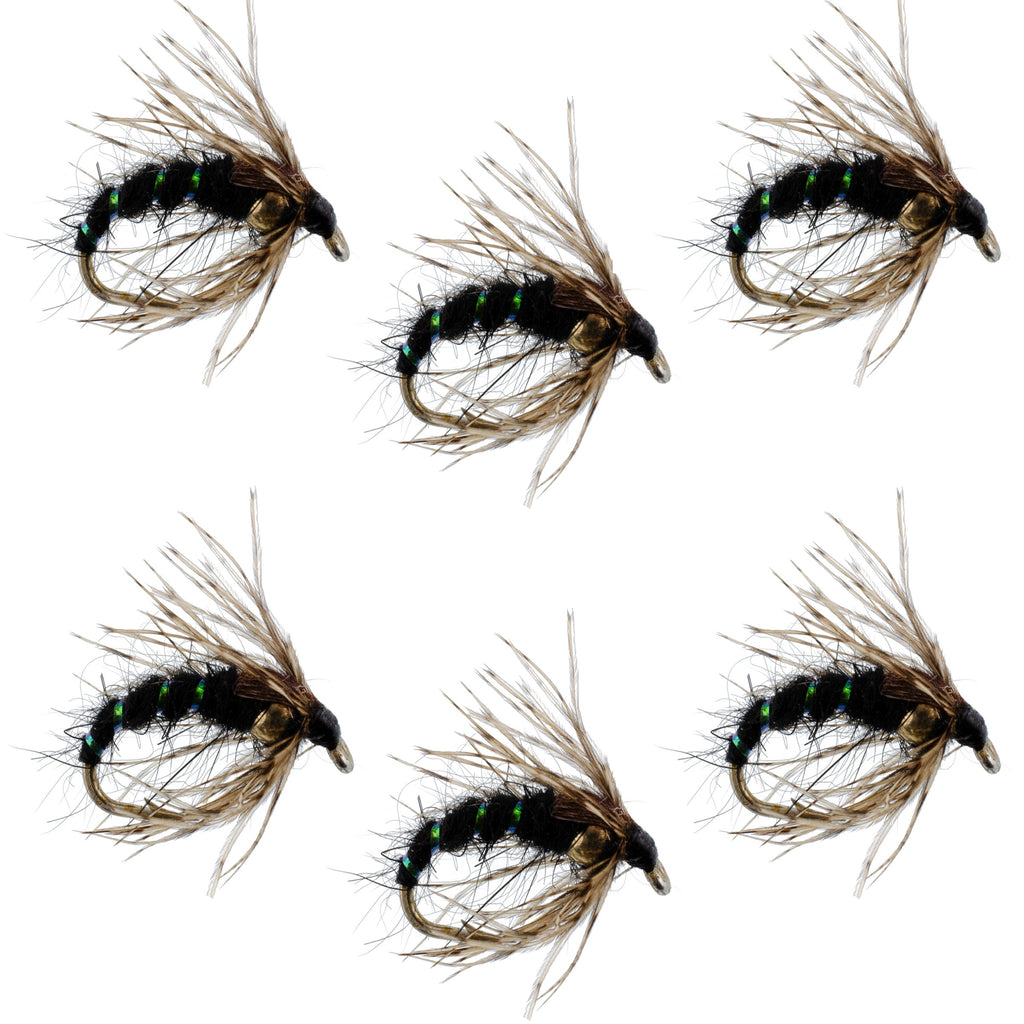 Black Holy Grail Caddis Pupa Emerger 6 Flies Hook Size 12