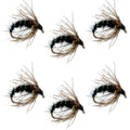 Black Holy Grail Caddis Pupa Emerger 6 Flies Hook Size 14