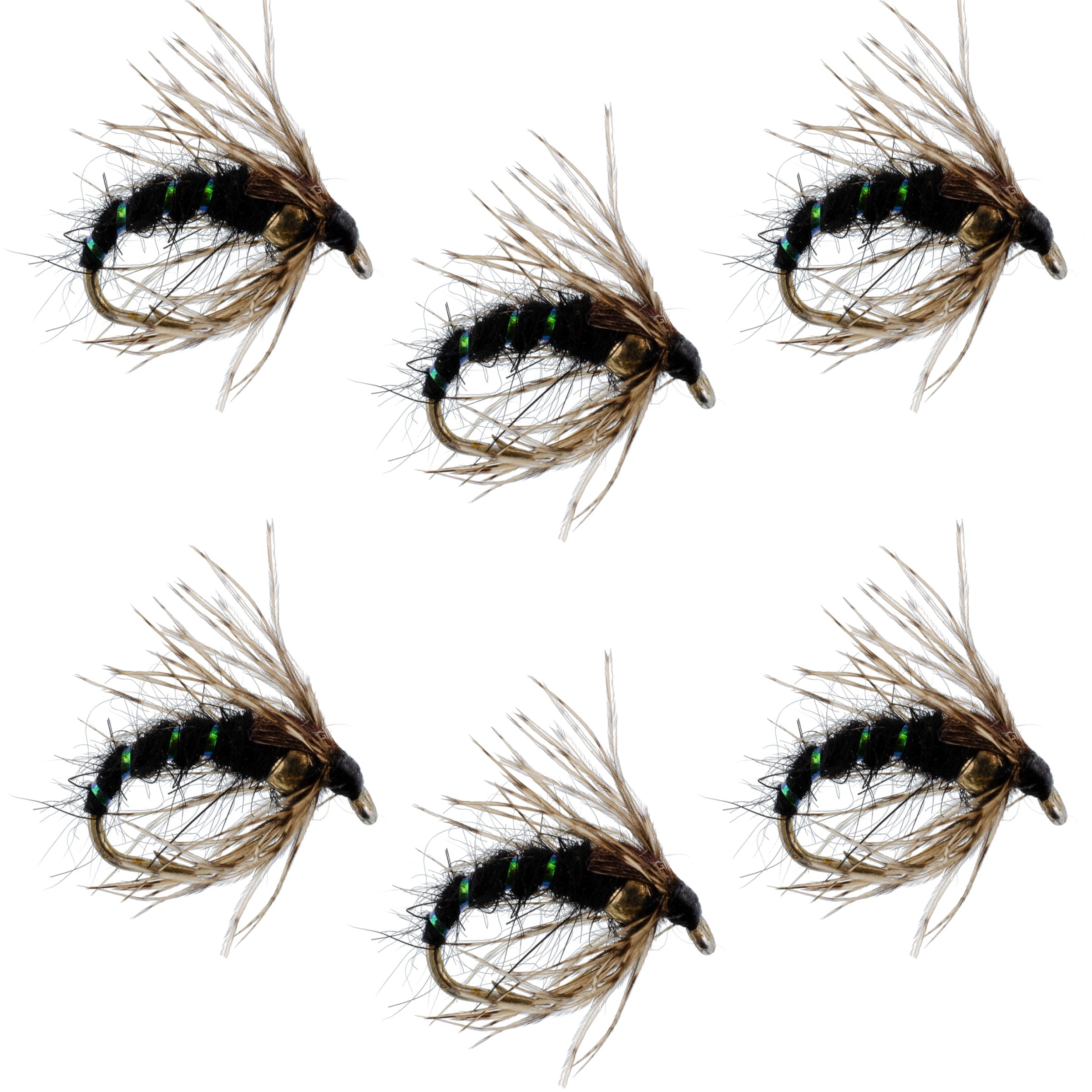 Black Holy Grail Caddis Pupa Emerger 6 Flies Hook Size 14