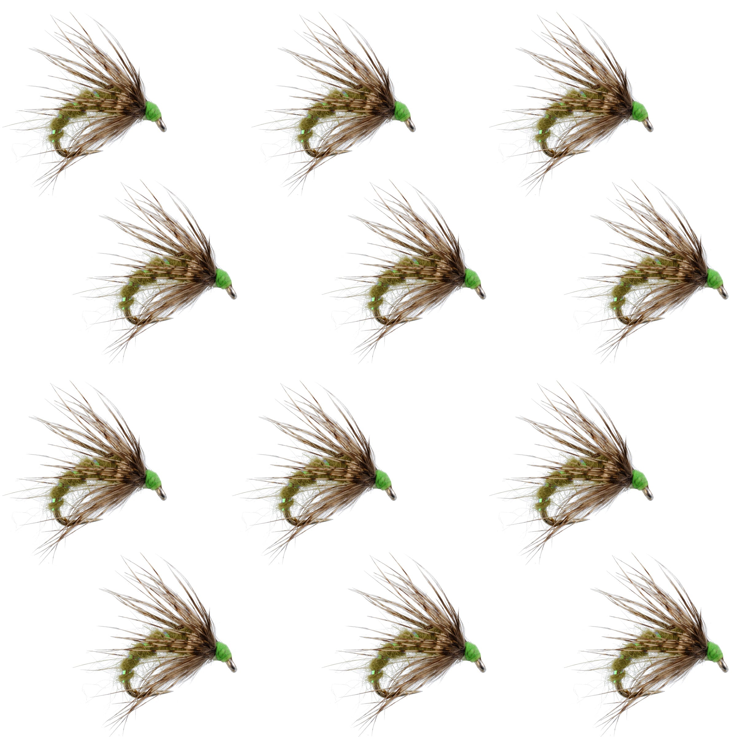 Olive Holy Grail Caddis Pupa Emerger 12 Flies Hook Size 16