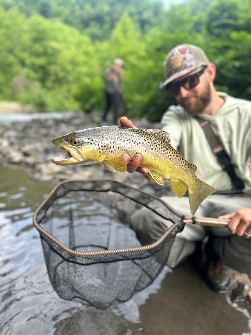 Native Brown Net