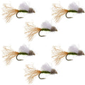 Olive Iris Caddis Emerger Caddis  Trout Dry Fly - 6 Flies Hook Size 14