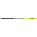 Black Eagle Talon Crested Arrows .001 500 6 Pk.