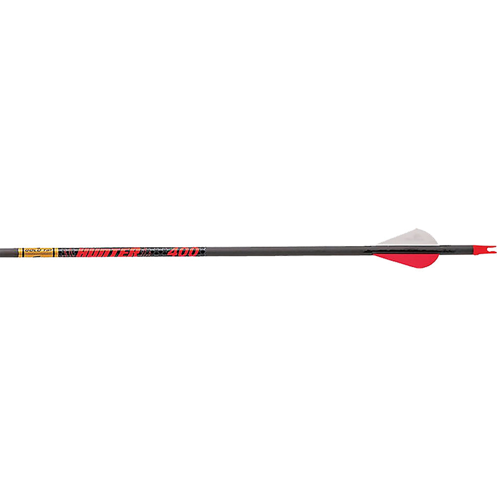 Gold Tip Hunter Arrows 300 Raptor Vanes 12 Pk.