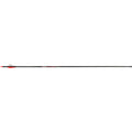 Victory Rip Sport Arrows 300 2 In. Vanes 6 Pk.