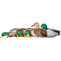 Avianx Axp Fusion Duck Decoys Mallards 6 Pk.