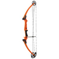 Genesis Bow Orange Rh