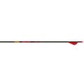 Gold Tip Hunter Arrows 300 Raptor Vanes 6 Pk.