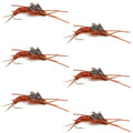 Gold Bead Kaufmann's Brown Stone Fly with Rubber Legs - Stonefly Wet Fly - 6 Flies Hook Size 12