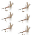 Light Hendrickson Classic Dry Fly - 6 Flies Size 14