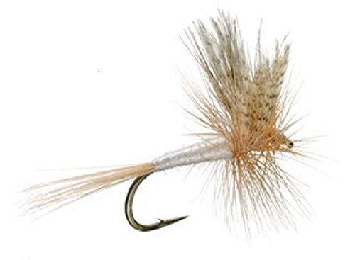 Light Cahill Classic Trout Dry Fly Fishing Flies - 6 Flies Size 20