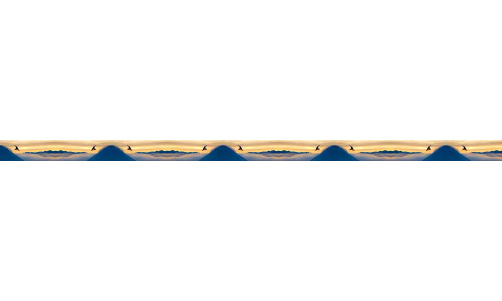 Mountaincognito Snowboarder Webbing Belt