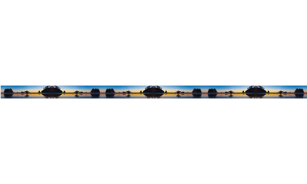 Mountaincognito Two Surfers Dog Leash