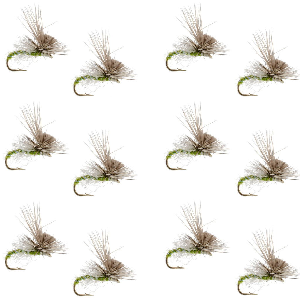 Green Drake Missing Link Mayfly Flies Hook 12 Flies Size 12