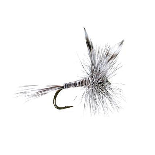 3 Pack Barbless Mosquito Classic Trout Dry Fly - Hook Size 14