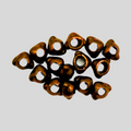 Nymph-Head® Evolution™ Mayfly Swimmer & Burrower tungsten beadheads