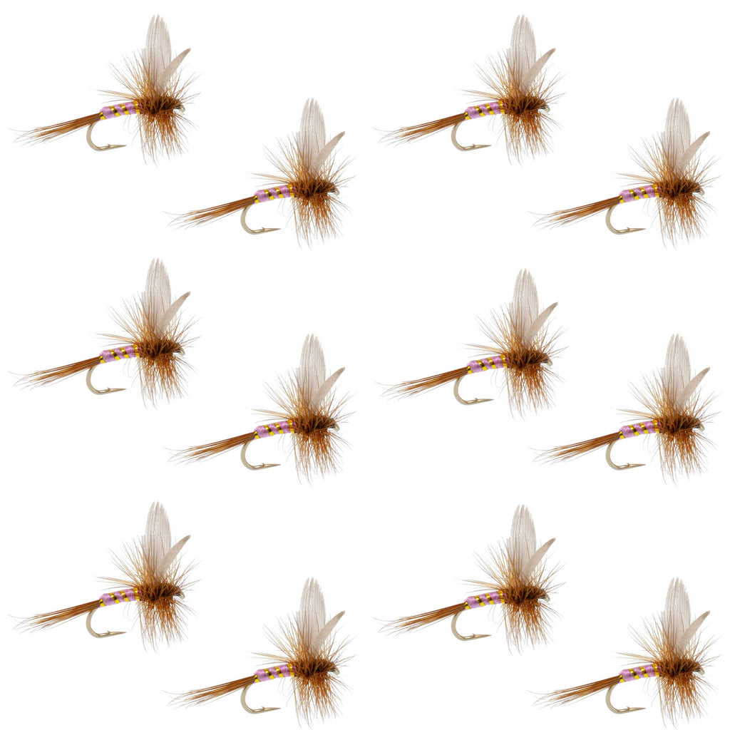 Pink Lady Classic Dry Fly - 12 Flies Size 16