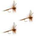 3 Pack Pink Lady Classic Dry Fly - Size 14