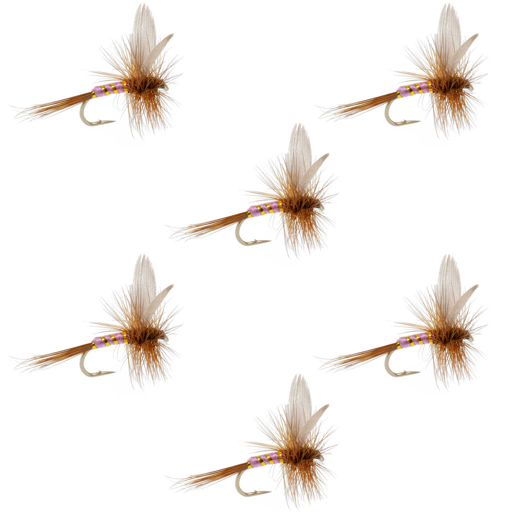 Pink Lady Classic Dry Fly - 6 Flies Size 18