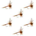 Pink Lady Classic Dry Fly - 6 Flies Size 18
