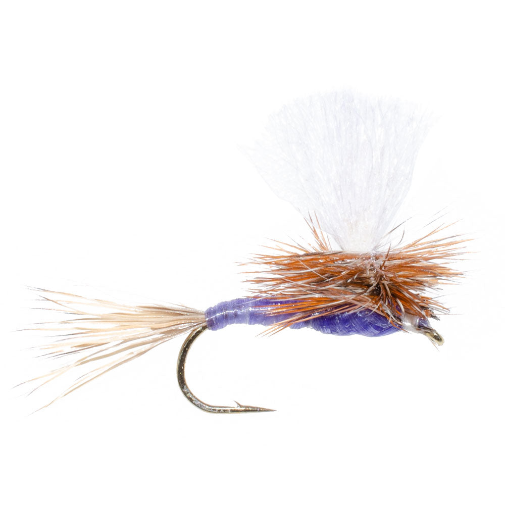 3 Pack Parachute Purple Haze Dry Fly - Size 18