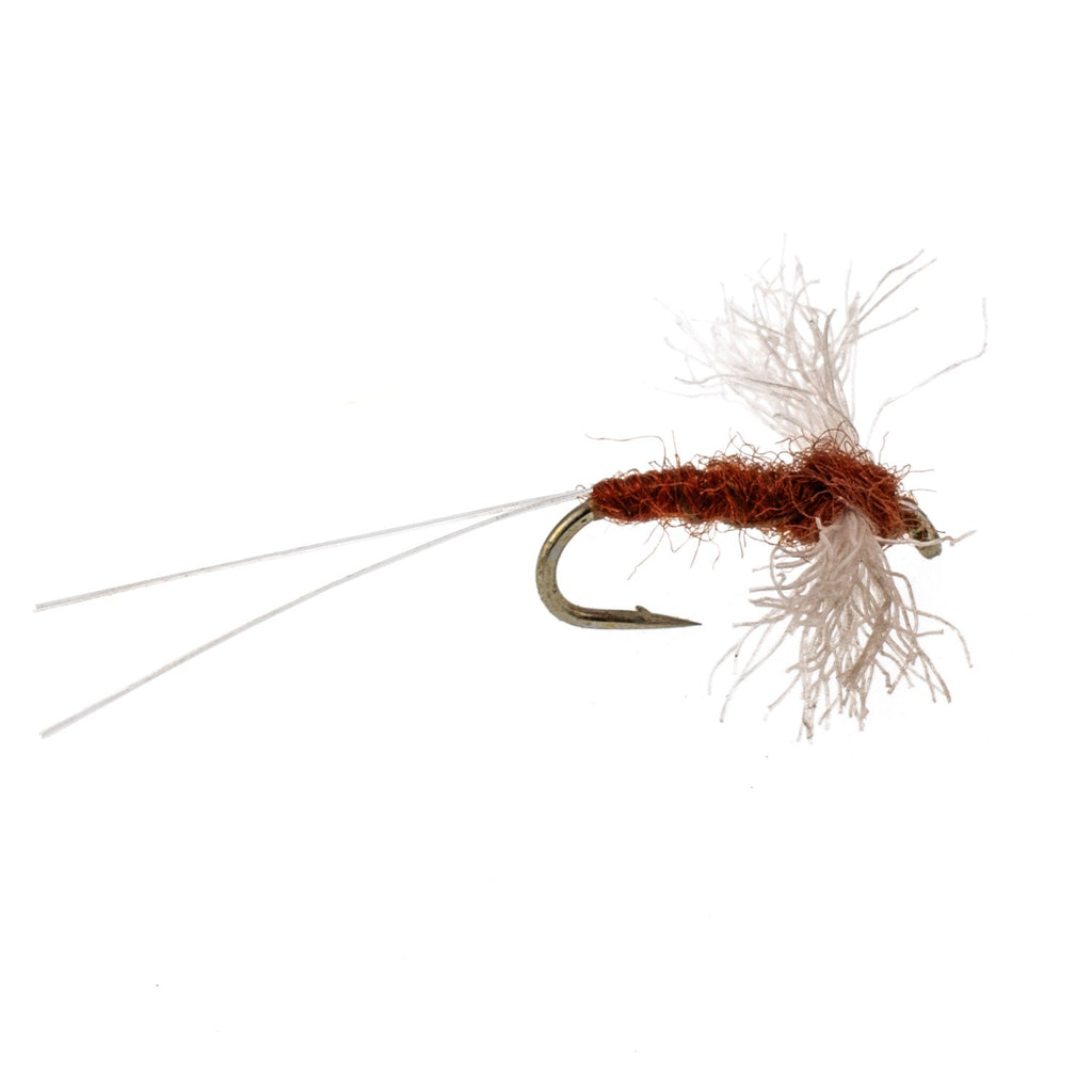 Poly Wing Rusty Spinner Mayfly 6 Flies Hook Size 14