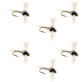 Z-Lon Wing Trico Spinner Kapok Body Hook 6 Flies Size 20