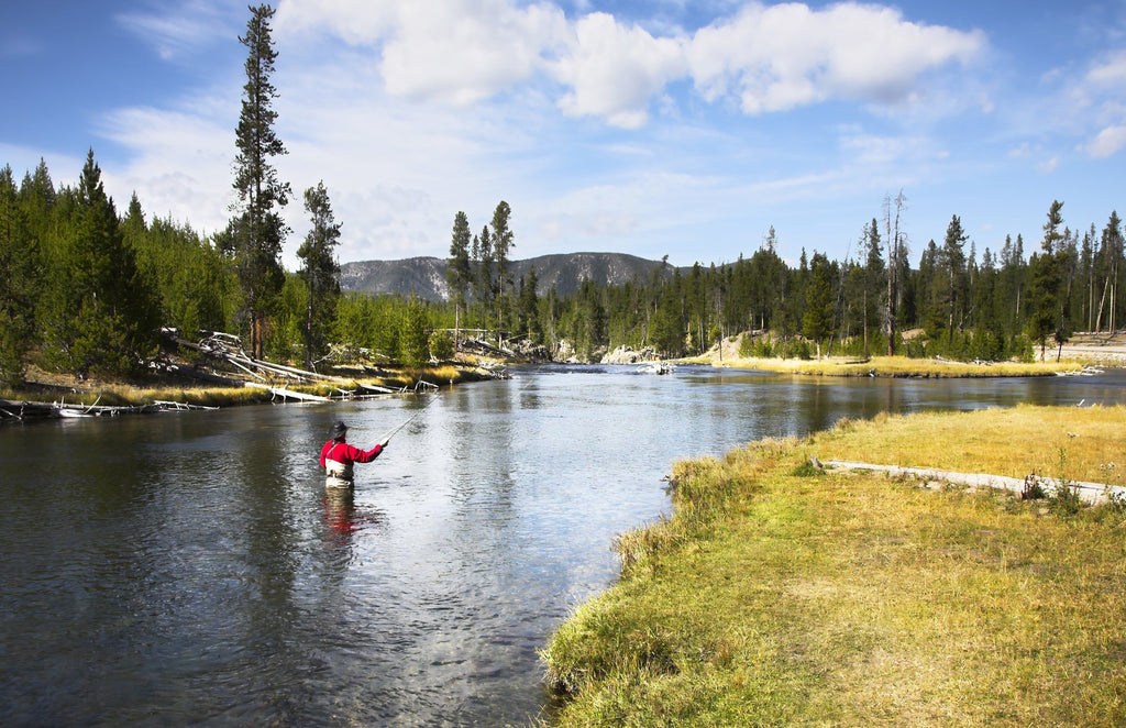 3 Pack Olive Elk Hair Caddis Classic Trout Dry Fly - Hook Size 12